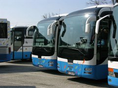 Bus in Vienna