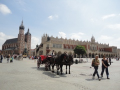 Guided sightseeing tours in Poland