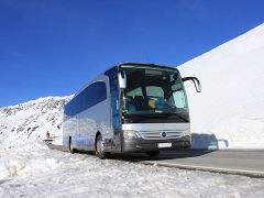 Guided sightseeing tours in Tyrol