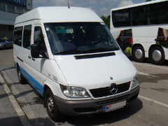 Minibus awith driver Vienna